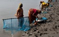 Prawn seed collection in Sunderban Royalty Free Stock Photo